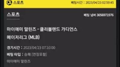 스포츠 맞은거 적특시킨뒤 먹튀 와이벳