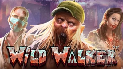 Wild Walker(와일드 워커)