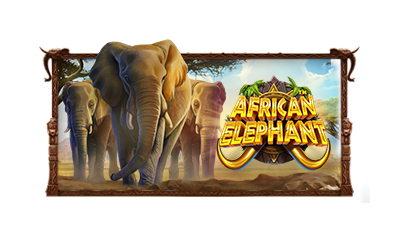 프라그마틱 AFRICAN ELEPHANT 무료슬롯게임