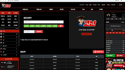코난 카지노 사이트 먹튀 이용주의!