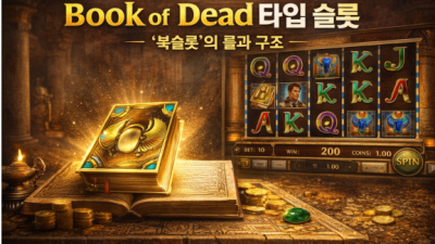 Book of Dead 타입 슬롯