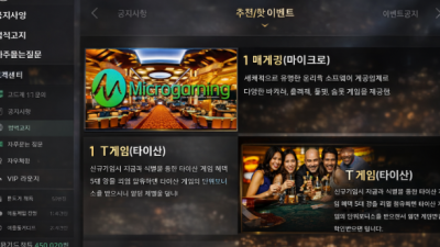 프린스카지노 사이트 도메인 먹튀 이용주의!