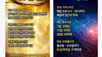 마이나베이카지노 사이트 도메인 먹튀 이용주의!