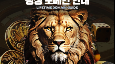 체코 먹튀 악질 이용하지마세요 체코평생.com