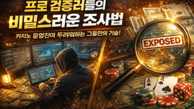 카지노 사이트 운영진이 가장 경계하는 '프로 검증러'의 정체와 그들이 사용하는 은밀한 테스트 기법