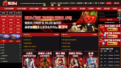 피크닉 먹튀 302만원 먹튀 개양아치 사이트