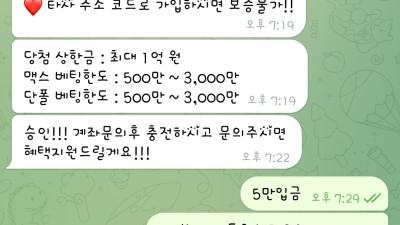 페가수스 사칭 먹튀