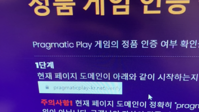 ply-2424.com 플레이24먹튀