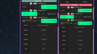나무벳 먹튀! 고작7만원