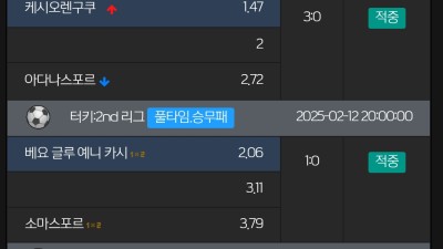 팀카지노 (TIM카지노) 먹튀사이트 절대 이용금지