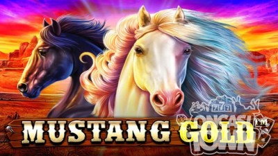 MUSTANG GOLD(머스탱 골드)